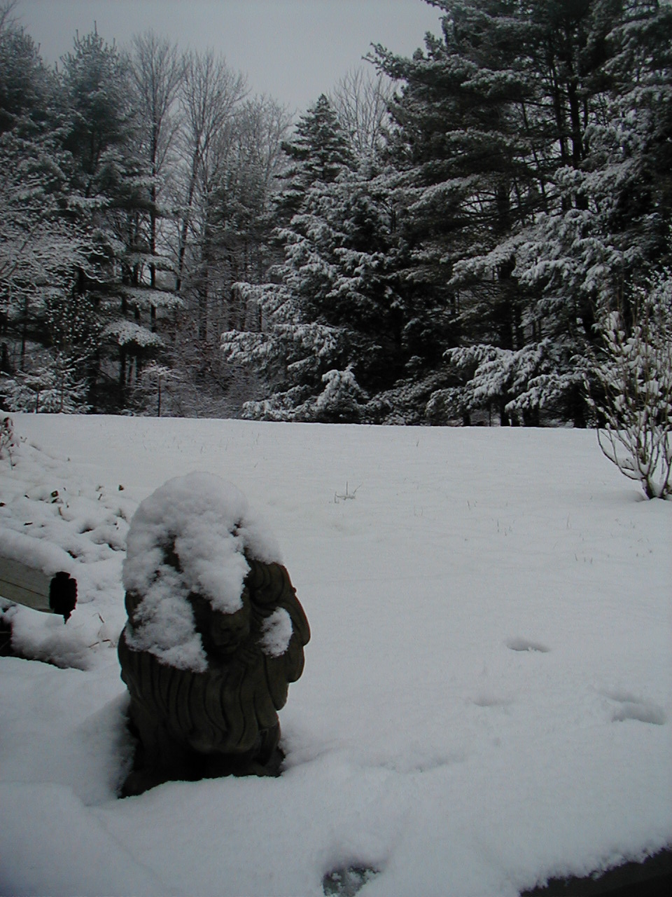 Snow in Woodstock