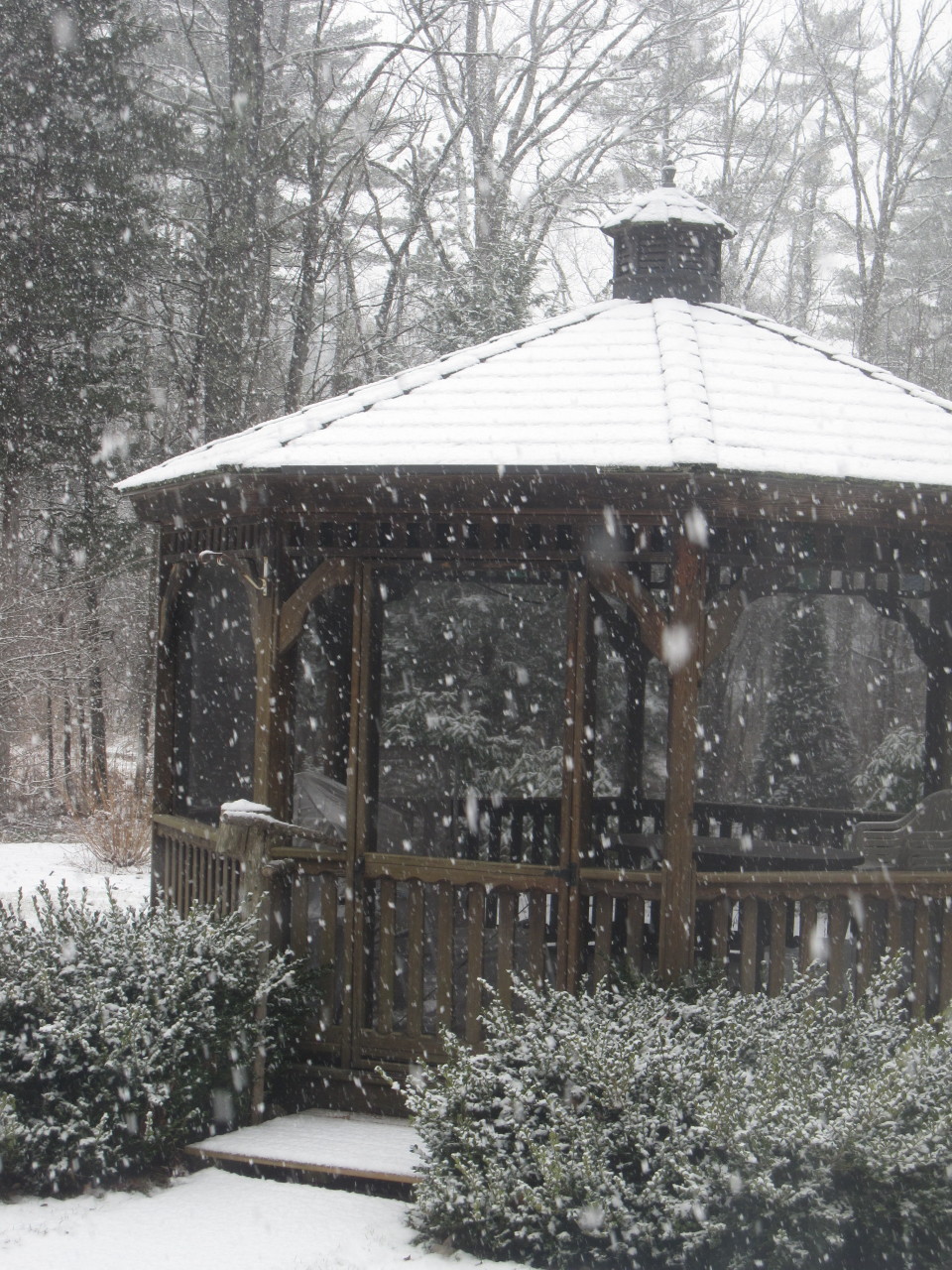 Gazebo in snow